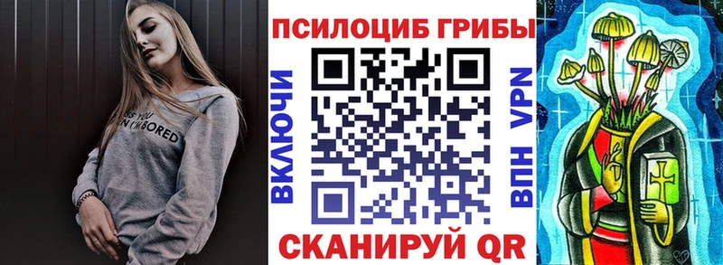 даркнет сайт  Зарайск  Псилоцибиновые грибы Psilocybe 